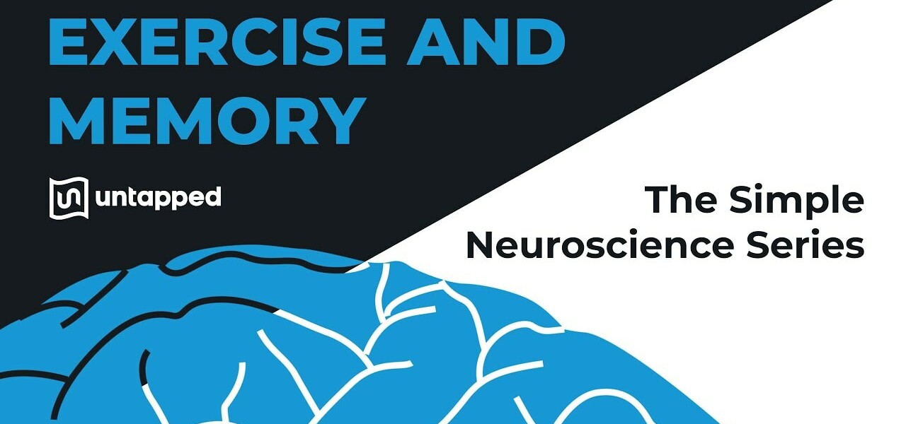 simple neuroscience exercise memory verified yt