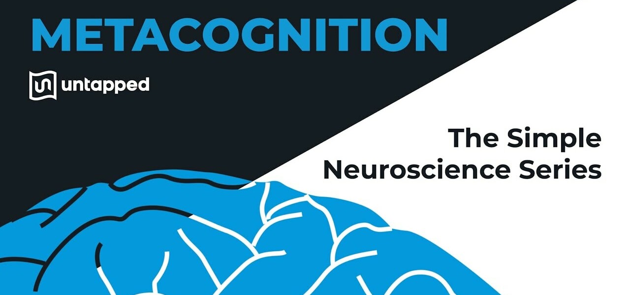 simple neuroscience metacognition yt
