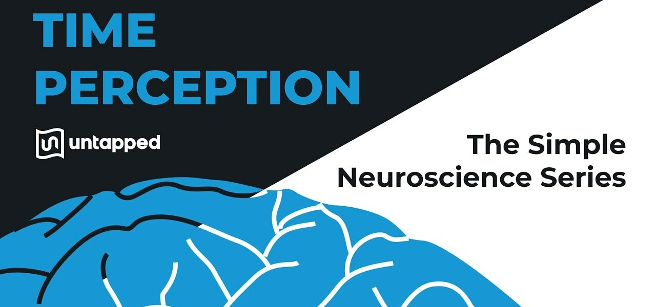 simple neuroscience time perception yt