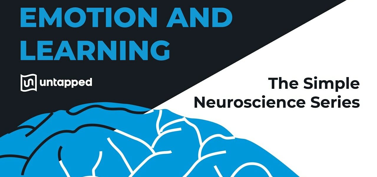 simple neuroscience emotion learning verified yt