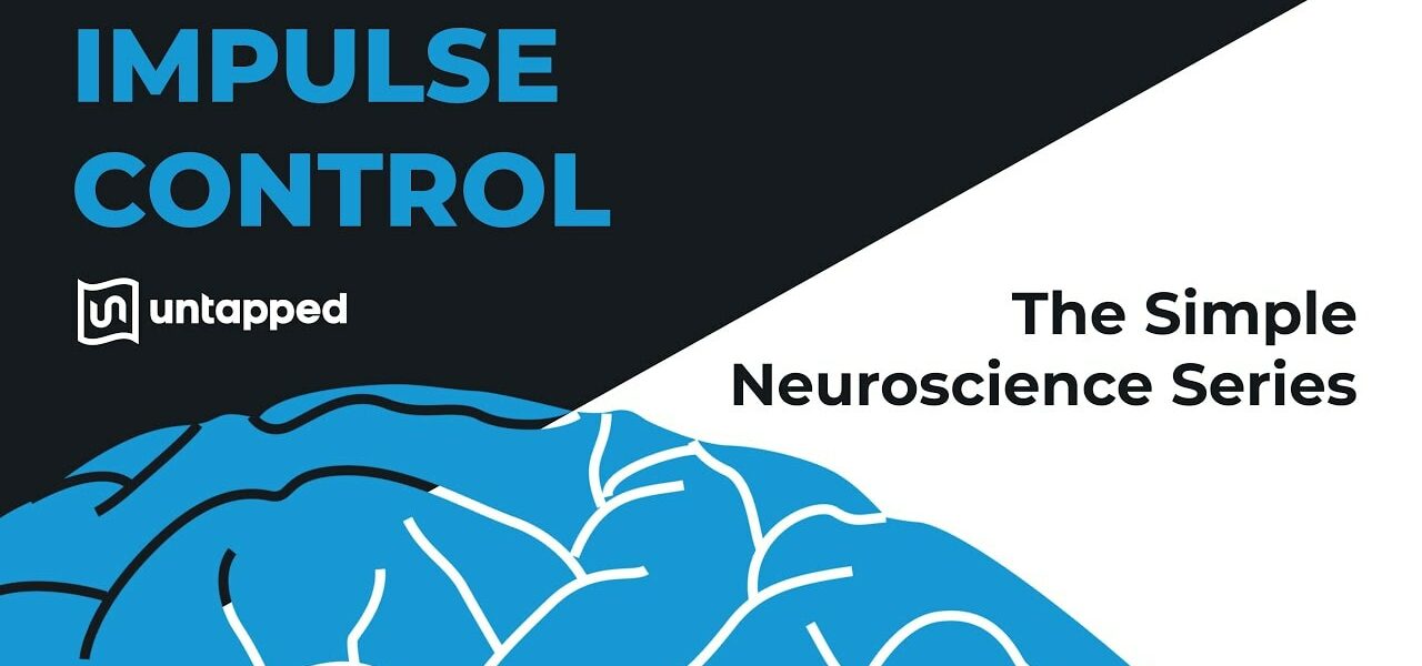 simple neuroscience impulse control yt