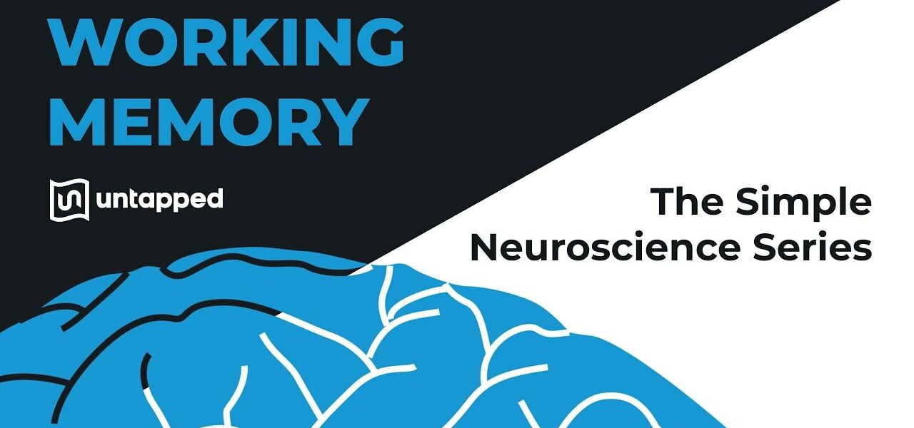 simple neuroscience working memory yt