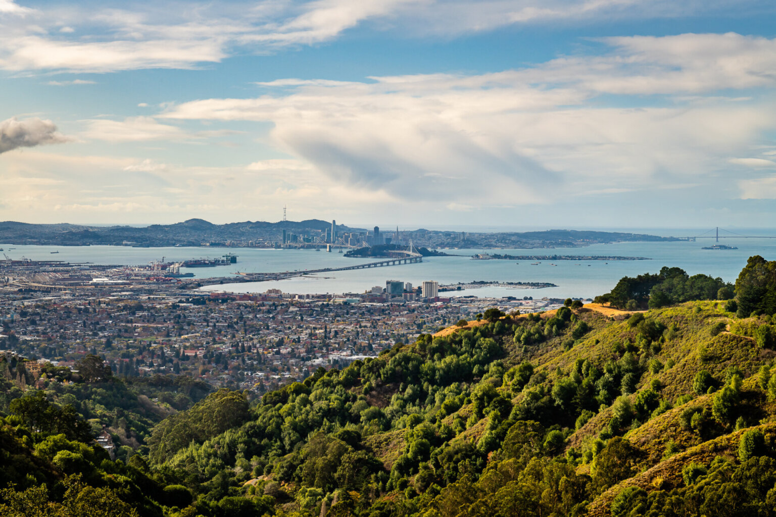 Online Executive Function Coaching in the Bay Area | Untapped Learning
